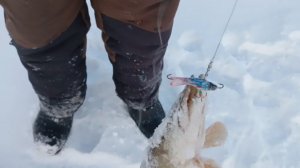 ЩУКА НА БАЛАНСИРЫ!!! ЗИМНЯЯ РЫБАЛКА 2026!!!