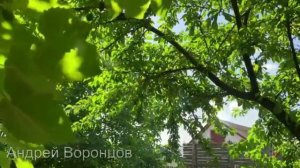 Любовь не спрашивает возраст.