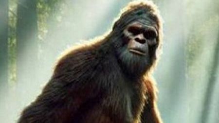 Загадки истории: снежный человек смотреть онлайн