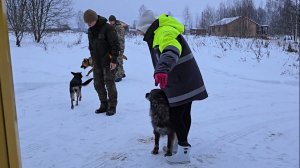 Тренировка на лыжах, отъезд в Москву и утро у автолавки
