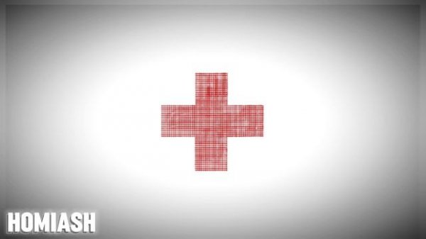 2hollis - poster boy