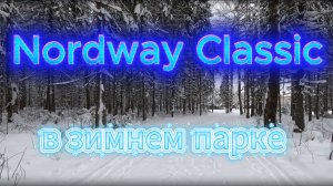 «Первые впечатления от лыж Nordway Classic в зимнем парке»