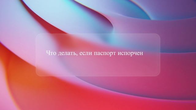 Что делать, если паспорт испорчен смотреть онлайн