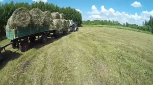 Урвал немного сена между дождей. Т-40 сенокосит, пробую ЮМЗ с тремя прицепами