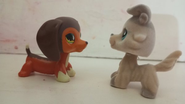 лпс популяр эпизод 28