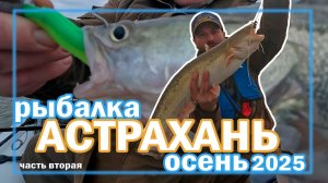 Рыбалка Астрахань осень 2025 часть вторая