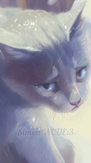 Чистое Небо/КВ