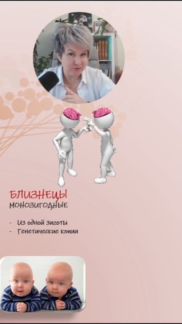 Близнецы или двойняшки как отличить