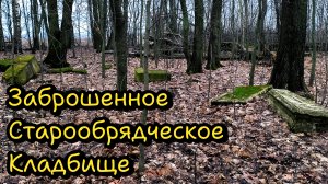 Заброшенное Старообрядческое Кладбище | Трип выходного дня | Ноябрь 2025