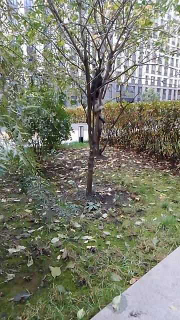 1000063868.mp4 смотреть онлайн