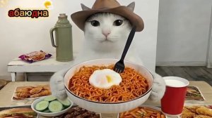 АСМР /ЧЕКК /КОТ ЕСТ /ЖУЁТ /ЧАВКАЕТ #видео #топ #рейтинг #асмр #рутуб #абаюдна