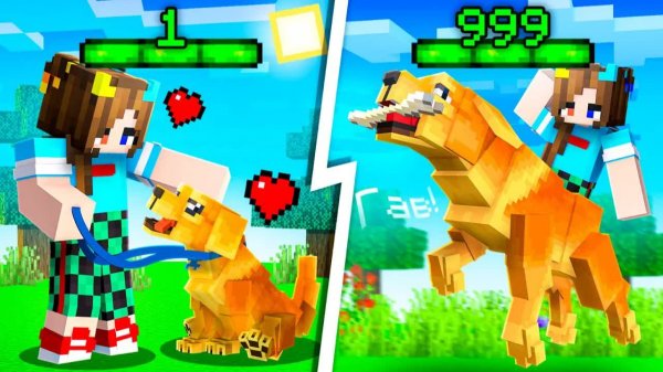 😨 Майнкрафт но ЖИЗНЬ СОБАКИ от Рождения До Смерти!