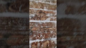 Ледяная труба