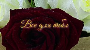 Все для тебя