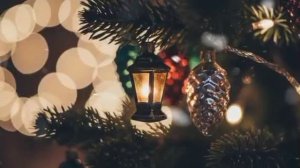 ЗАПАХ МАНДАРИНОВ.mp4