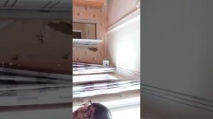 рисуем и раскрашиваем