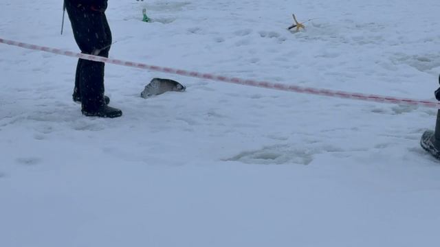 1000137864.mp4 смотреть онлайн