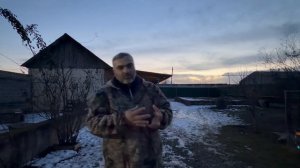 Алабай Снежка стала няней для щенков