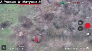 🔴👉Штурм позиций свинорейха🔴