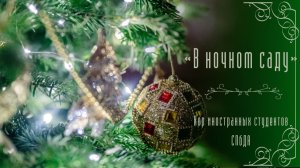 «В ночном саду», хор иностранных студентов СПбДА