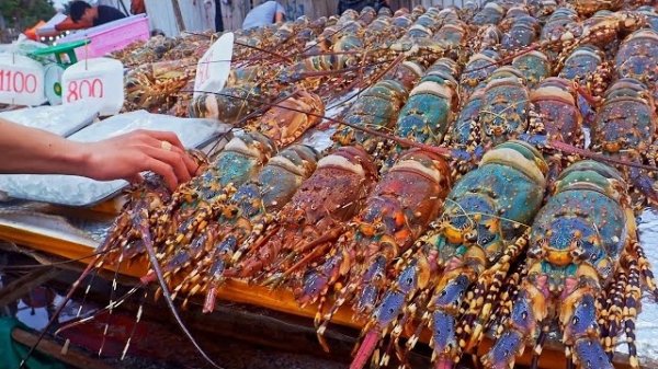 рынок морепродуктов . Запеченная тилапия, омары на гриле, булочки с устриц