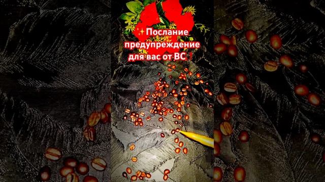 ✨ВС предупреждают ☝️будьте..❗️ #таро #tarot #shorts смотреть онлайн