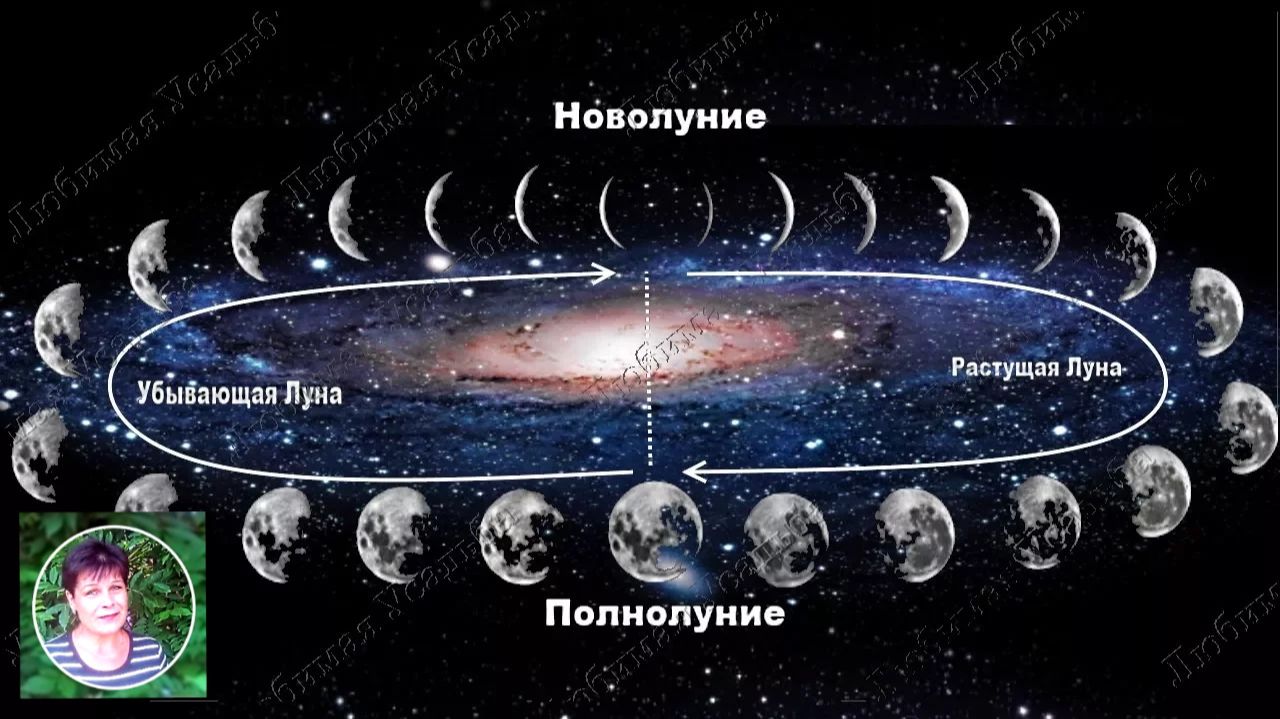 Что и когда сажать по лунному календарю Лунный посевной календарь смотреть онлайн