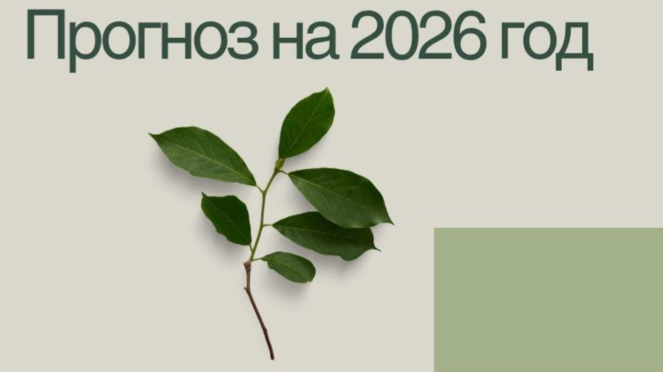 Прогноз Ба-цзы на 2026 год по Элементам Личности Дерево Ян и Дерево Инь.