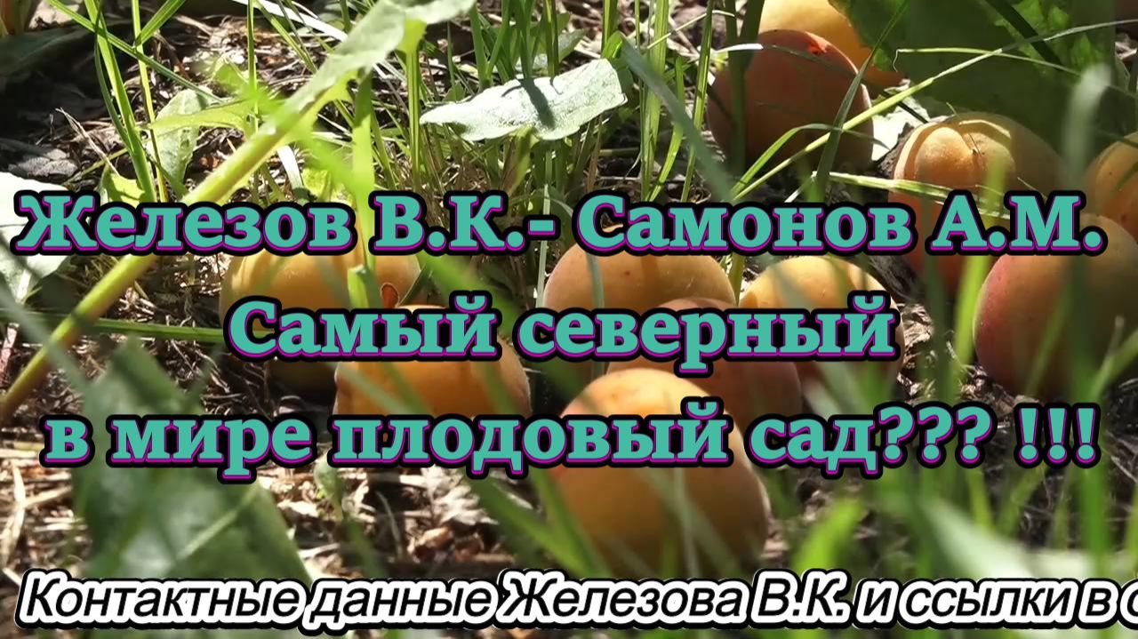 Железов В.К.- Самонов А.М. Самый северный в мире плодовый сад !!! смотреть онлайн