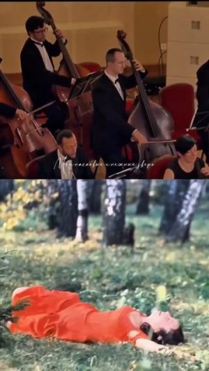 Мой ласковый и нежный зверь.