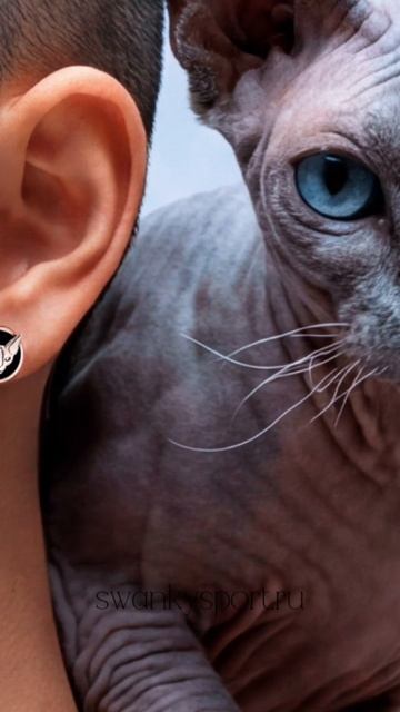 Ювелирная коллекция "Сфинкс"