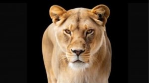 ПАРУ СЛОВ...эфир от 07.01.2026 г.