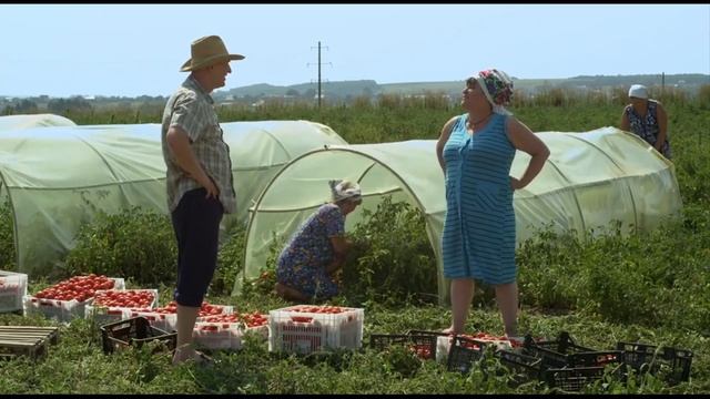 Сваты 6 сезон смотреть онлайн