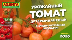 Урожайный детерминантный томат ЯБЛОКО ИСААКА НЬЮТОНА F1 - новинка 2026!