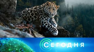 «Сегодня»: 8 января 2026 года. 10:00 | Выпуск новостей | Новости НТВ