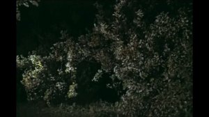 Антон Табаков и Вячеслав Баранов в фильме "Тимур и его команда"