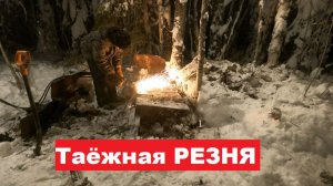 Бросил все силы и ресурсы на добычу этого металла. Режу "скелет" от ТРАКТОРА ТТ-4 в МЕТАЛЛОЛОМ!