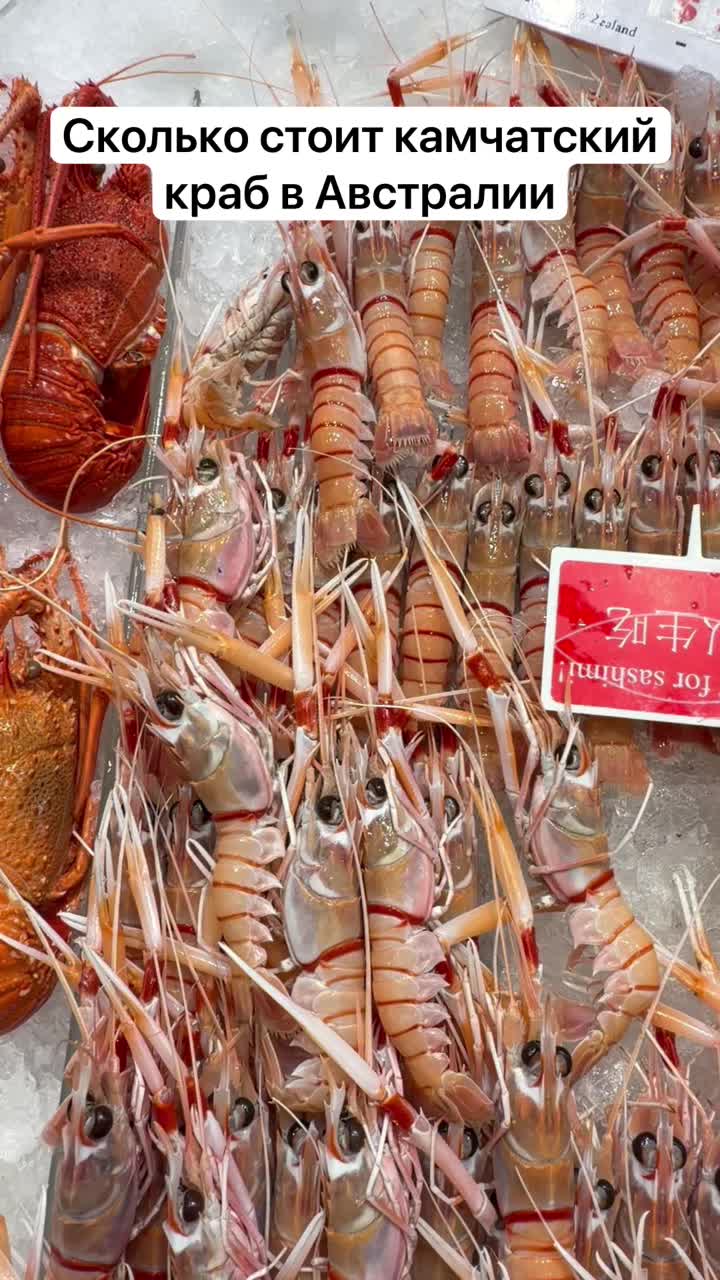 Сколько стоит камчатский краб в Австралии смотреть онлайн