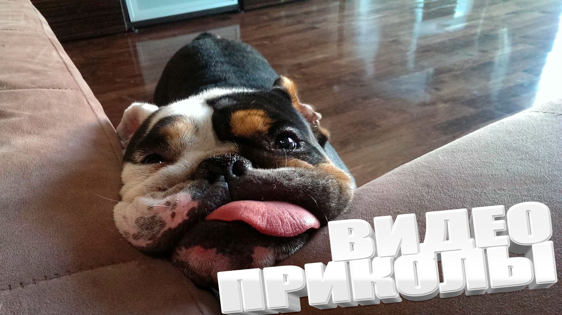 ПРИКОЛ \ ПОДБОРКА ПРИКОЛОВ Я РЖАЛ ДО СЛЕЗ, ЛУЧШИЕ ПРИКОЛЫ 2025 СМЕШНЫЕ ВИДЕО, ДЕВУШКИ , ПОДБОРКА смотреть онлайн