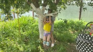 Купили сено