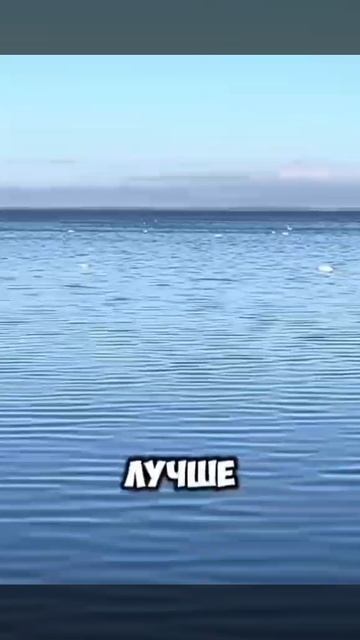 Хочу с Христом... 🙏 ❤️ христианские стихи смотреть онлайн