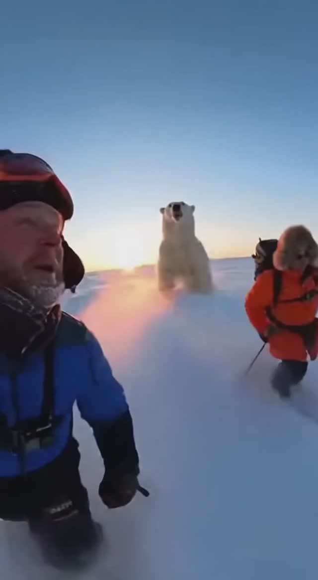 Приключения Деда Жени и Алёши в Антарктиде