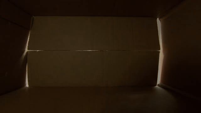 Guided Walkthrough - The Container Method - for Processing Trauma, PTSD and