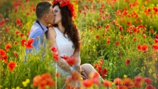 Полевых цветов букет смотреть онлайн