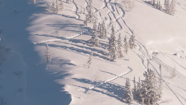 Скитур. Мамай 25/26