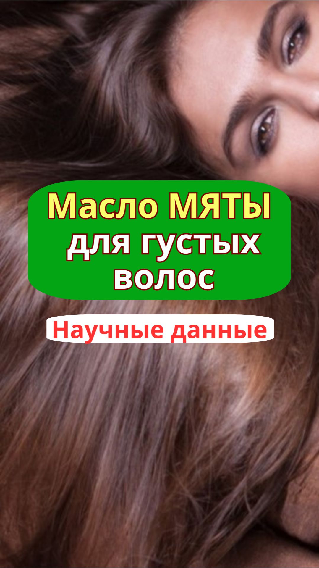 Мята для густых волос | alopecia.hair