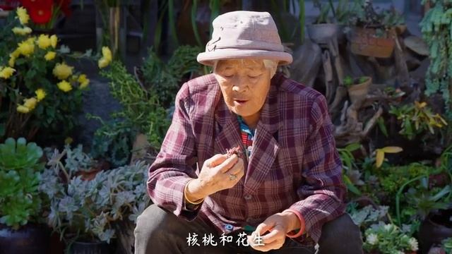 📹 Raisin Tree Fruit — One of the Oldest Fruits on the Eastern Lands【滇西小哥】 смотреть онлайн