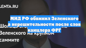 МИД РФ обвинил Зеленского в нерешительности после слов канцлера ФРГ