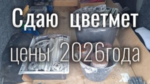 Сдаю ЦВЕТМЕТ.  Цены 2026года.