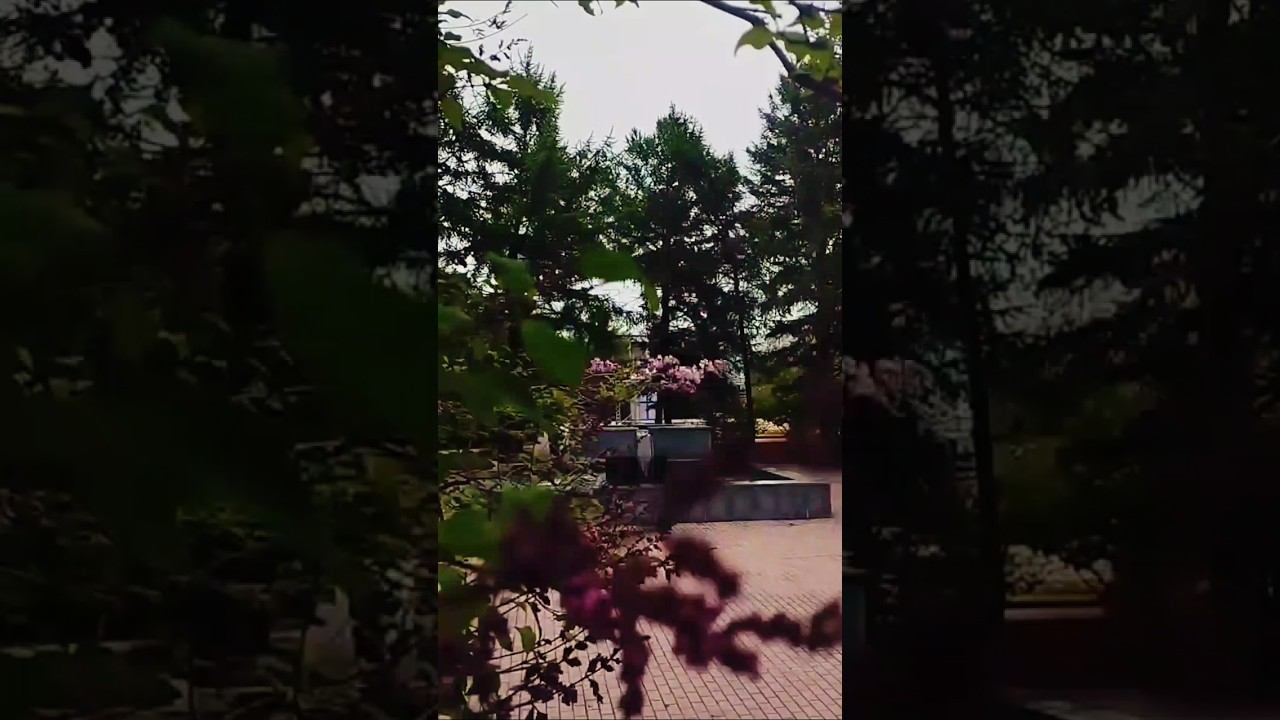 Устала от чужих мнений?